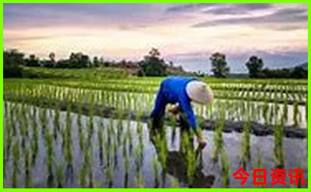 孩子放暑假去哪里旅游最好